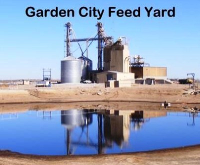 Garden City Feed Yard 1-800-999-5065